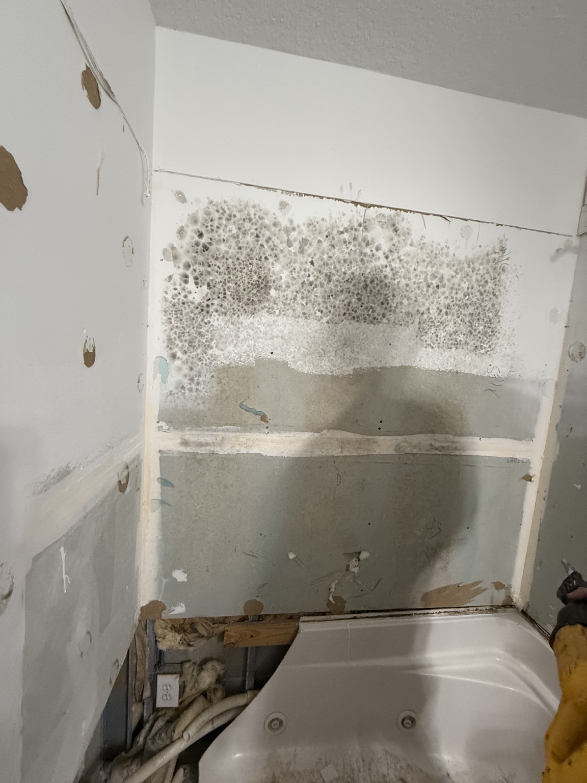 Moisture-damage renovation — before