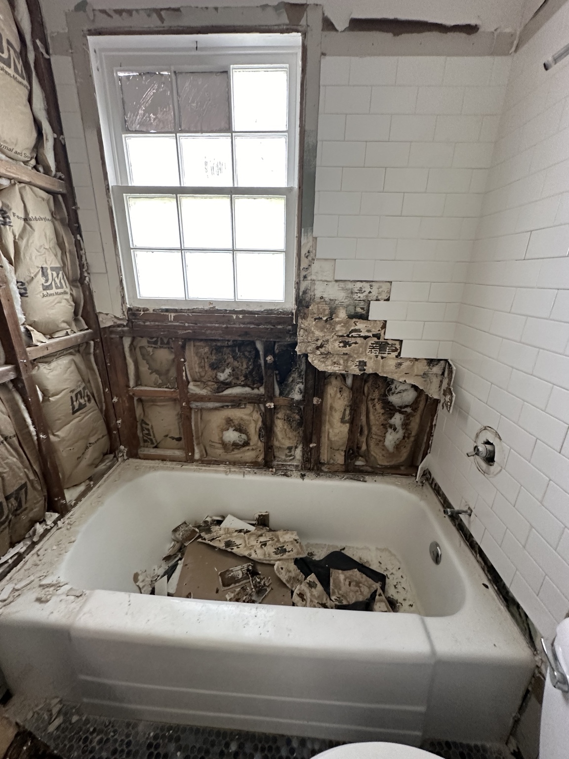 Tile bath restoration — in progress